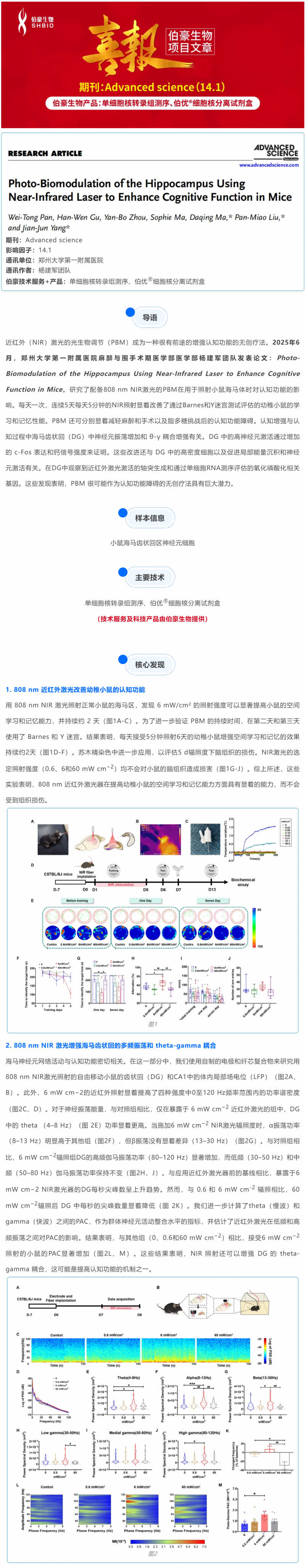 單細胞項目文章 | 近紅外激光增強小鼠海馬認知功能的光生物調(diào)節(jié) 1