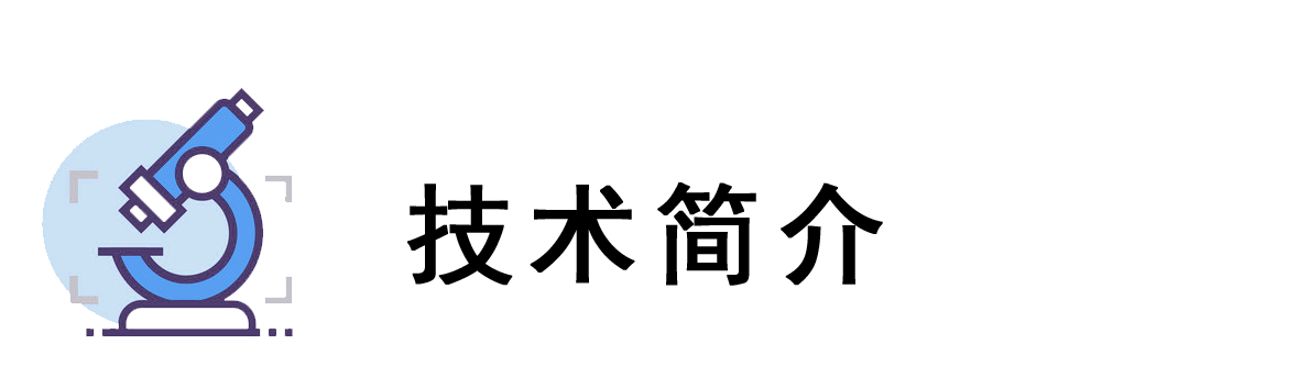 技術(shù)簡介